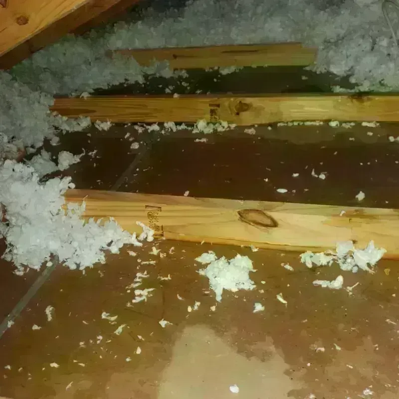 Attic Water Damage in Port Orchard, WA