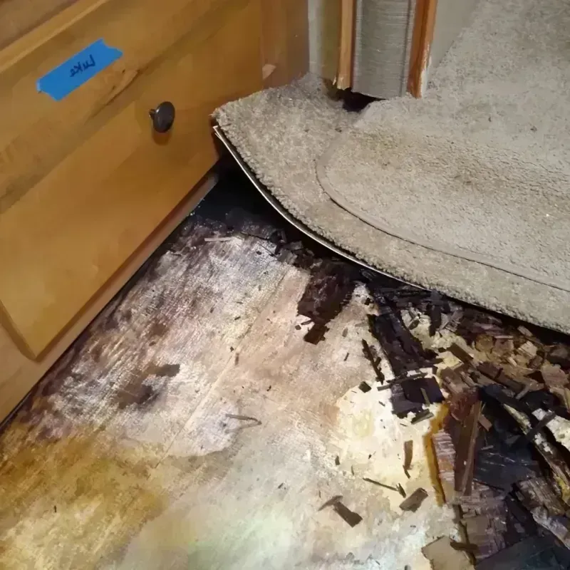 Best Wood Floor Water Damage Service in Port Orchard, WA